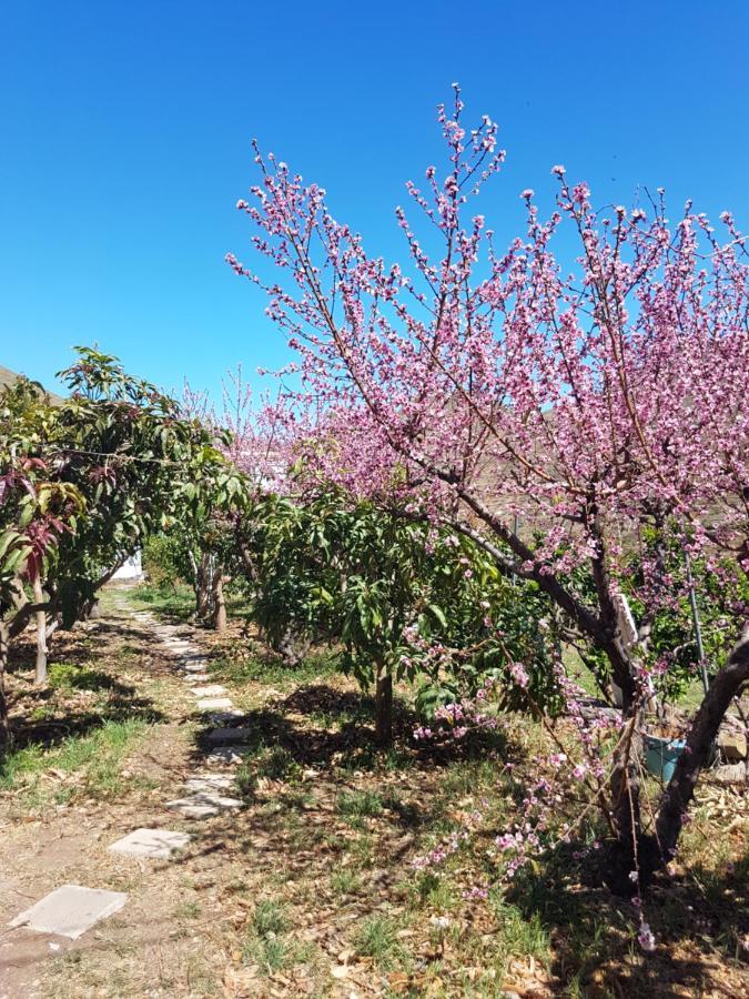 Casa Rural En Santa Cruz Los Campitos Kültér fotó
