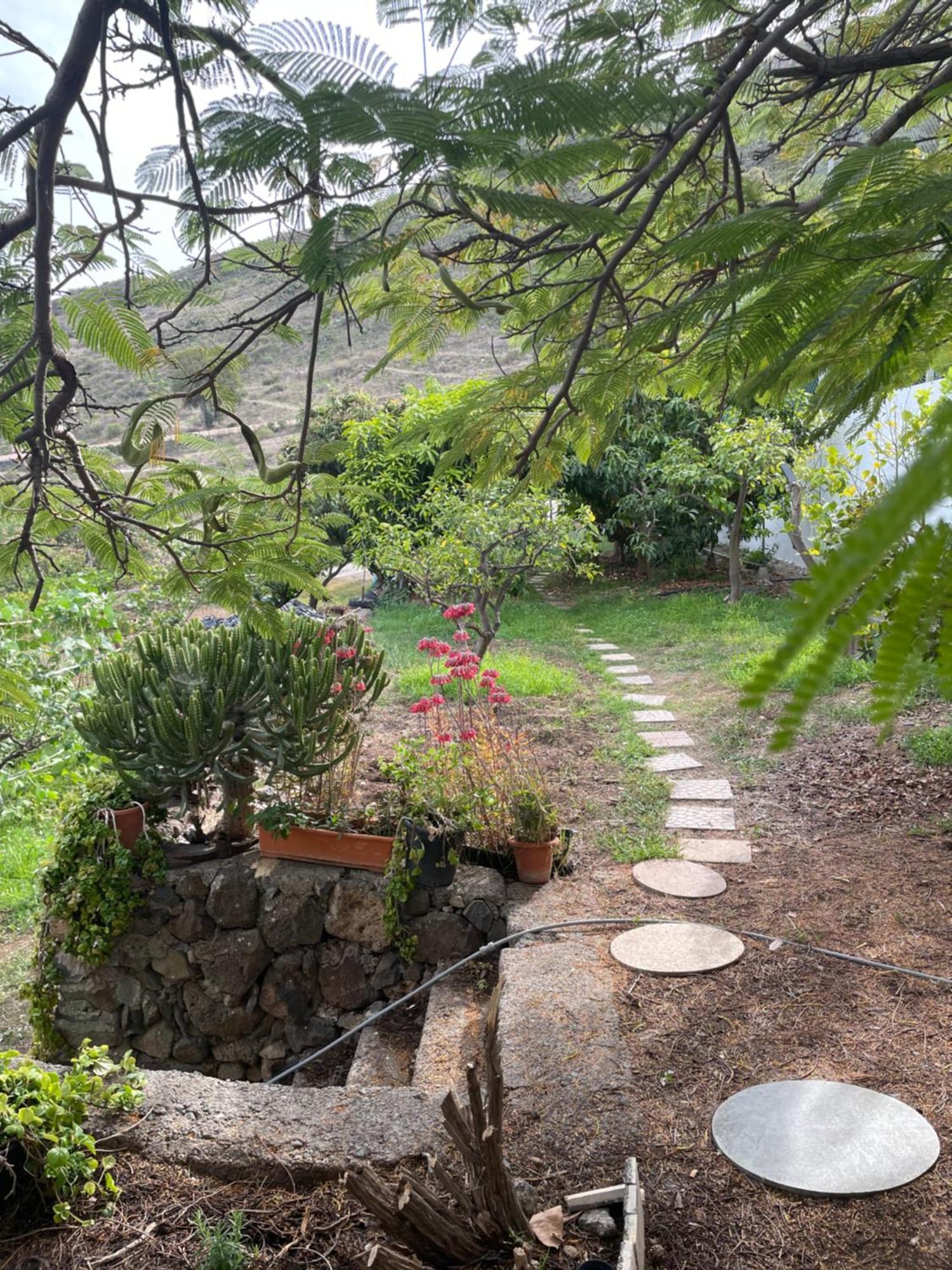Casa Rural En Santa Cruz Los Campitos Kültér fotó